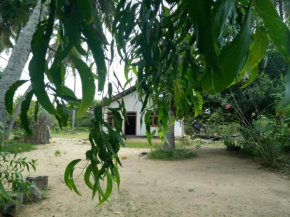 House of Freedom